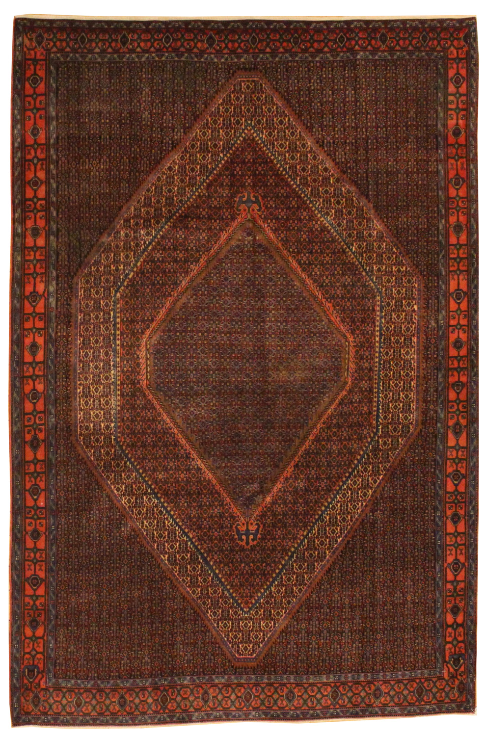 Senneh - 6.6 x 9.9