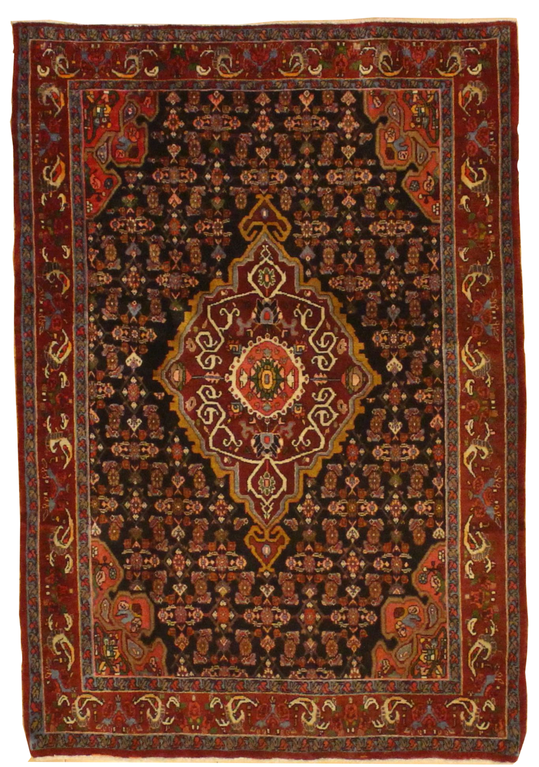 Senneh - 4.8 x 6.9