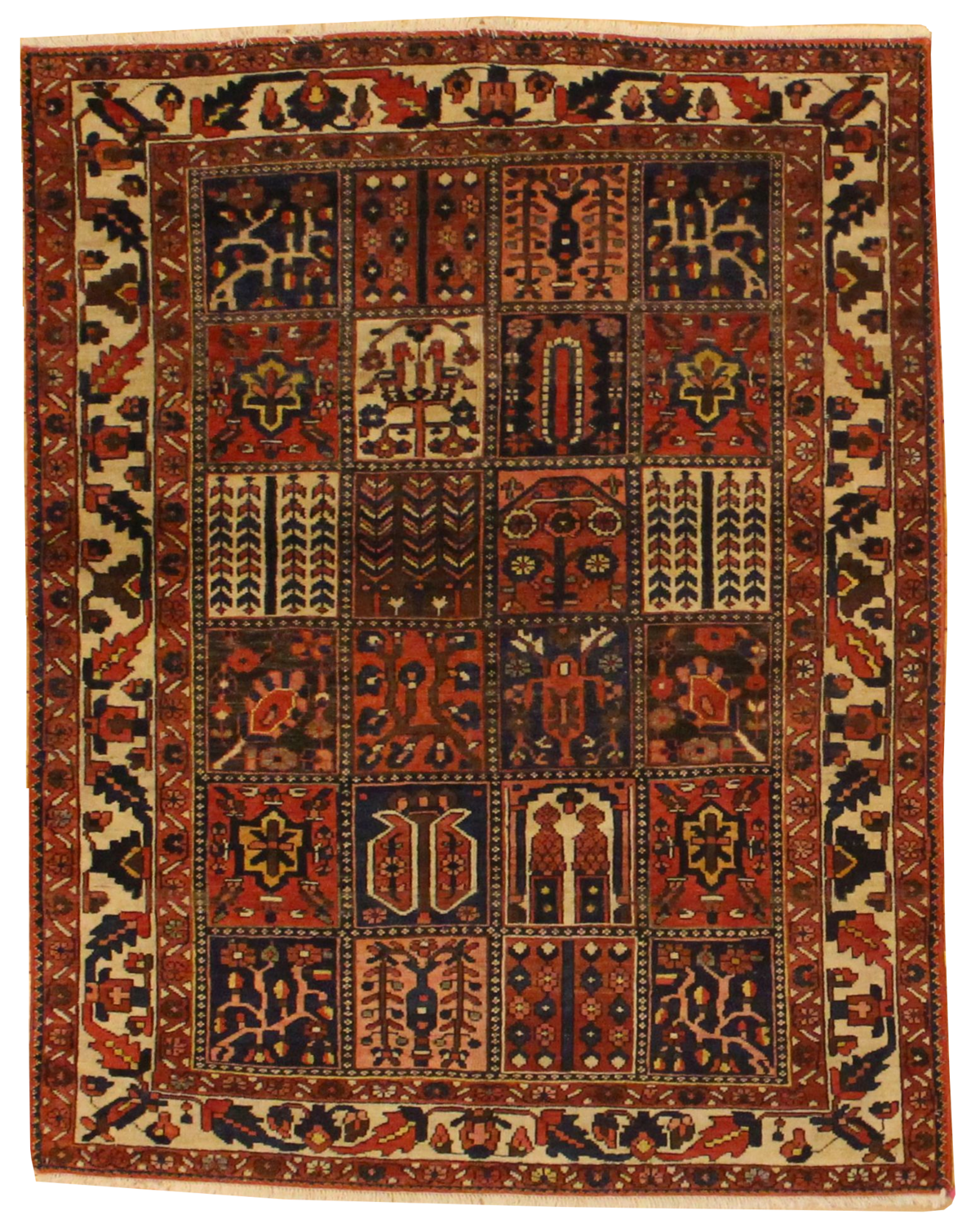 Baktiari - 5.3 x 6.8