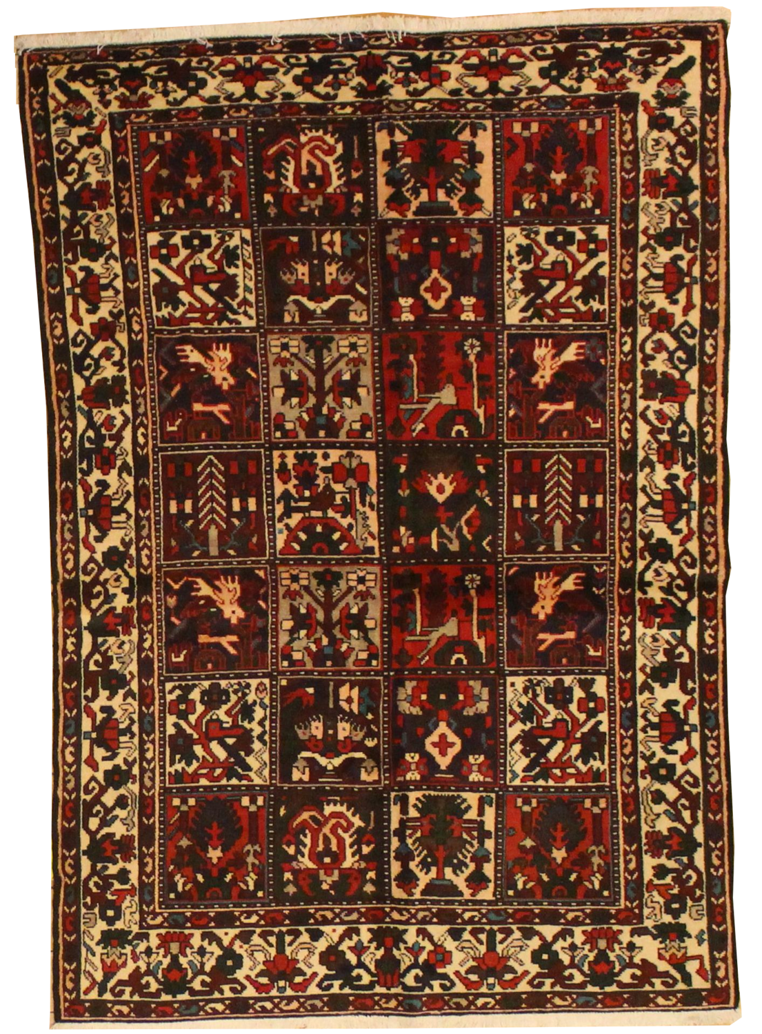 Baktiari - 4.7 x 6.8
