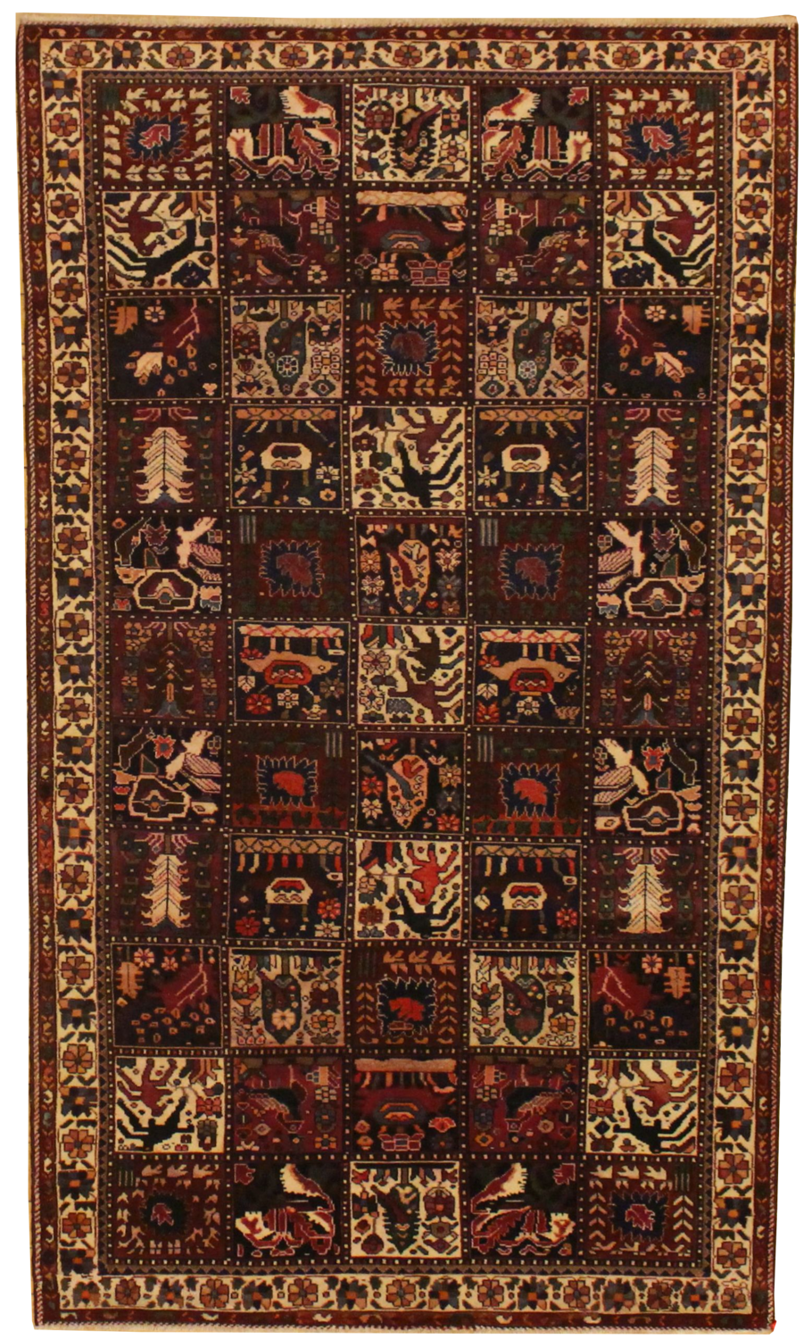 Baktiari - 5.2 x 9.1