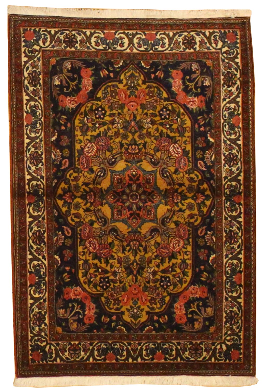 Baktiari - 3.7 x 5.3