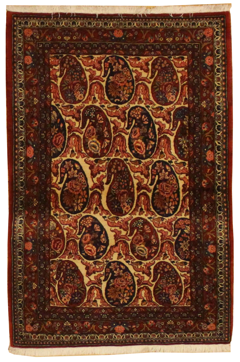 Bidjar Paisley - 3.6 x 5.3