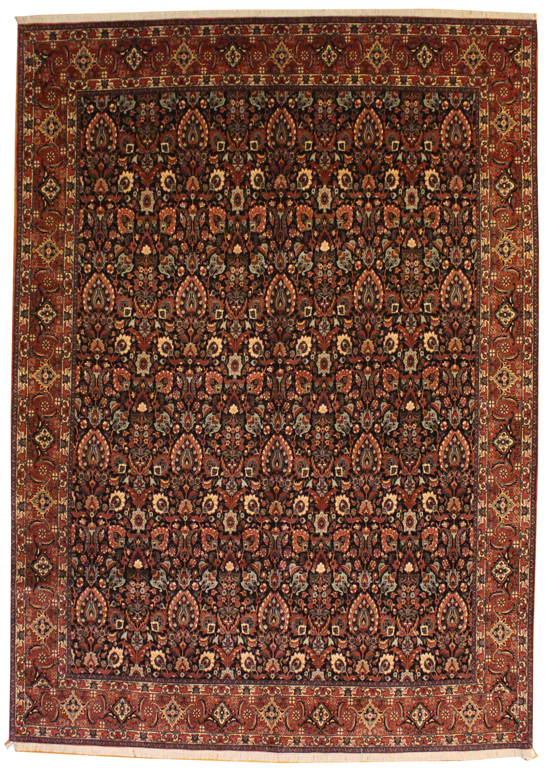 Bidjar - 8.3 x 11.6