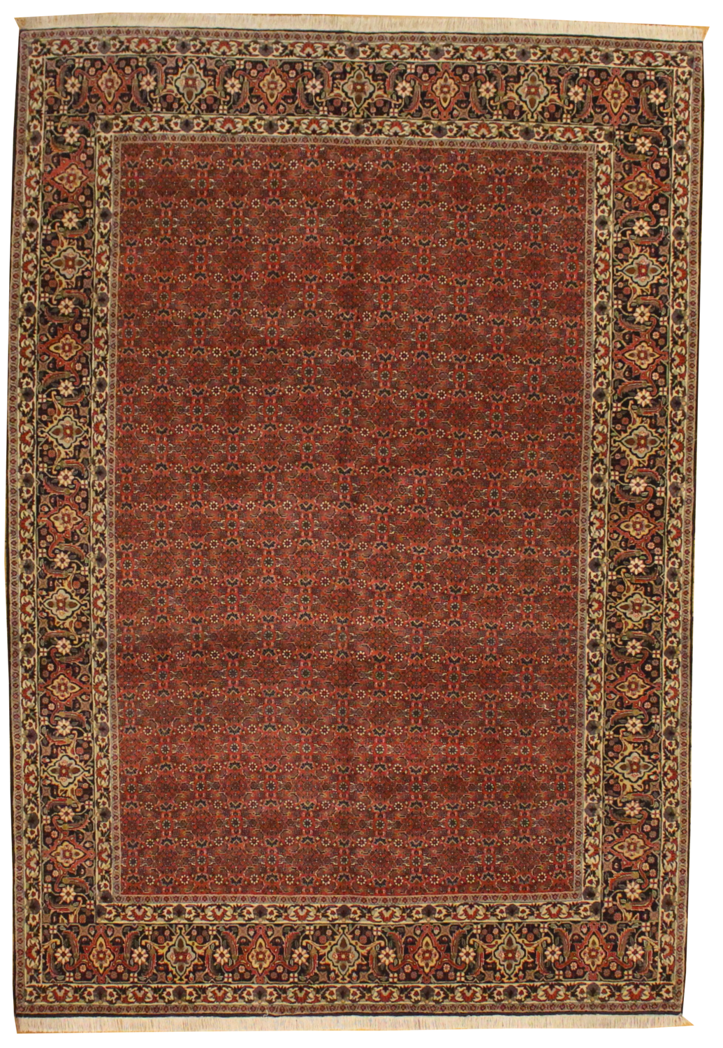 Bidjar - 6.9 x 9.8