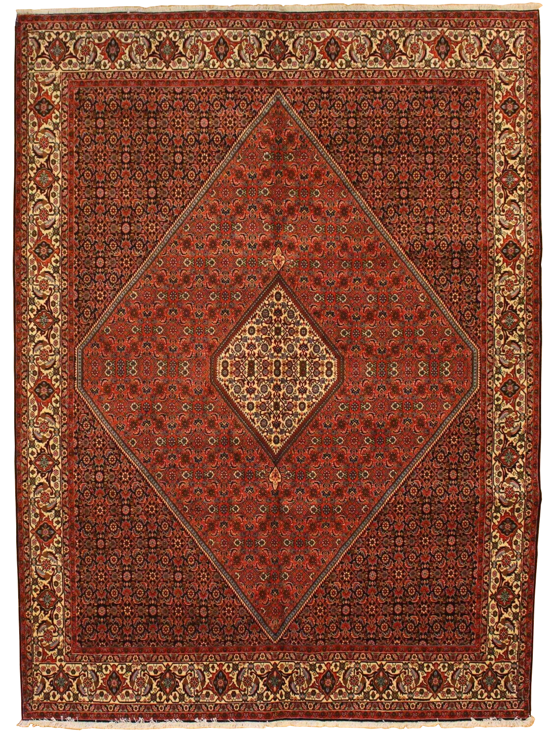 Bidjar - 8.2 x 11.3