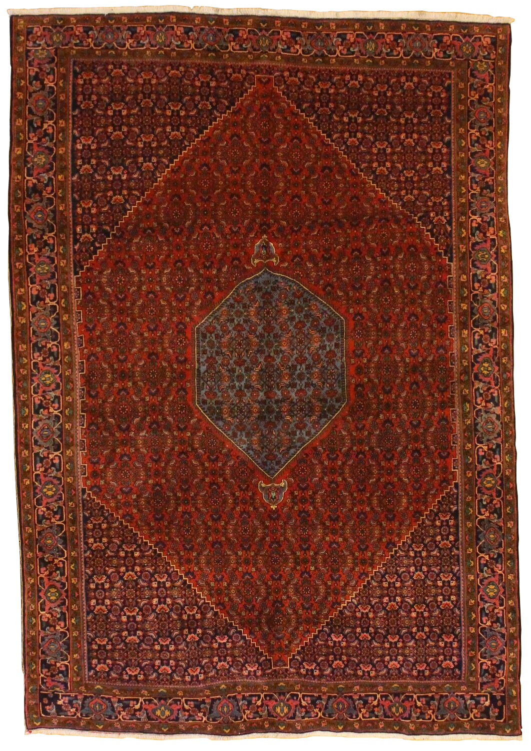 Bidjar - 7.8 x 11.1