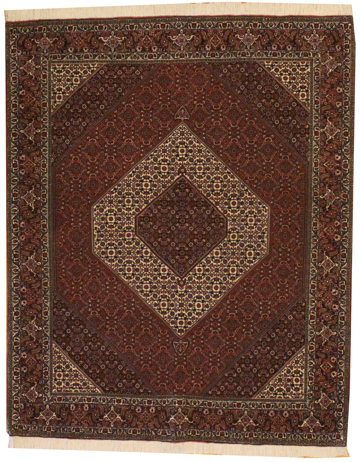 Bidjar - 6.7 x 8.0
