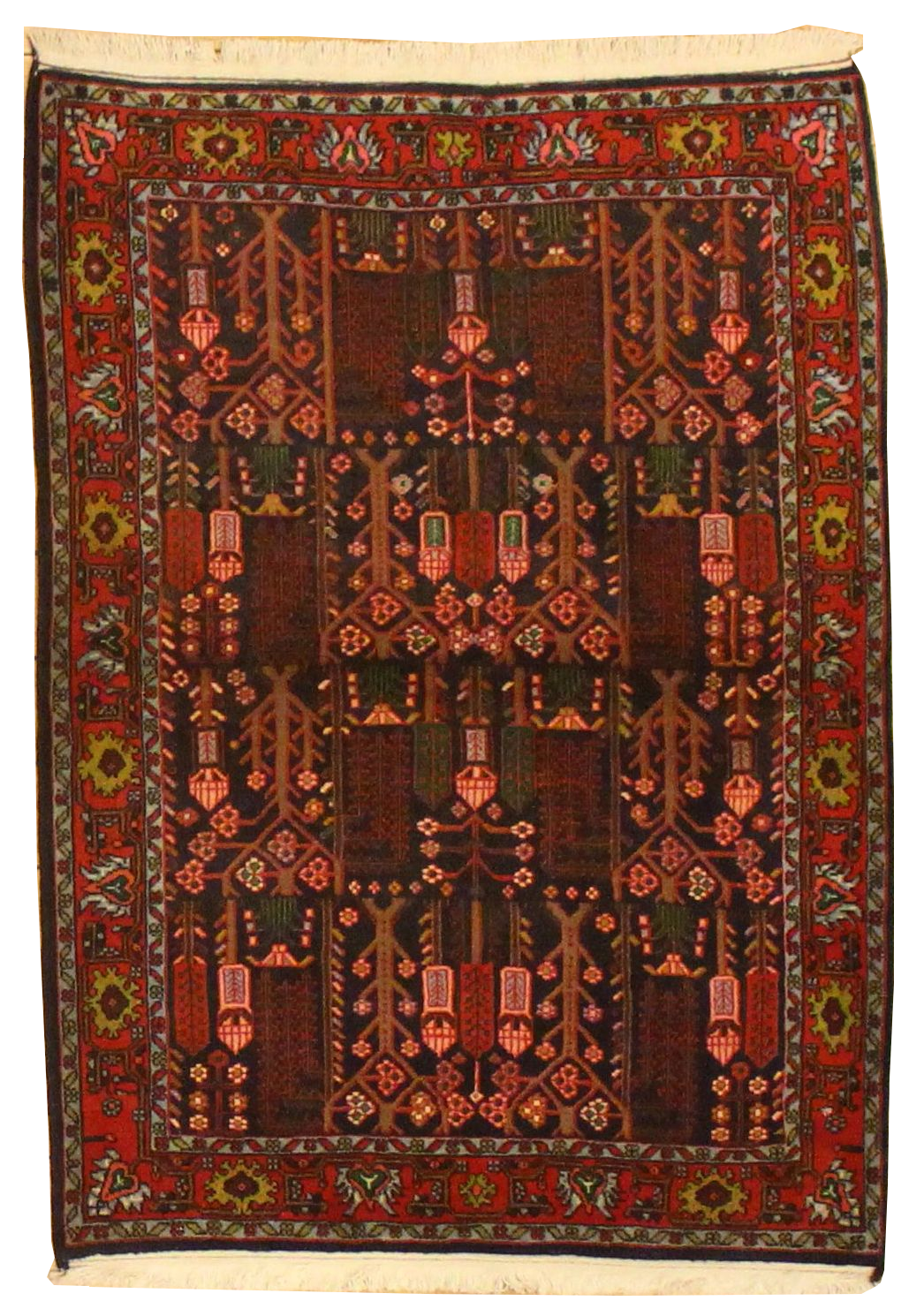 Bidjar - 3.5 x 4.9