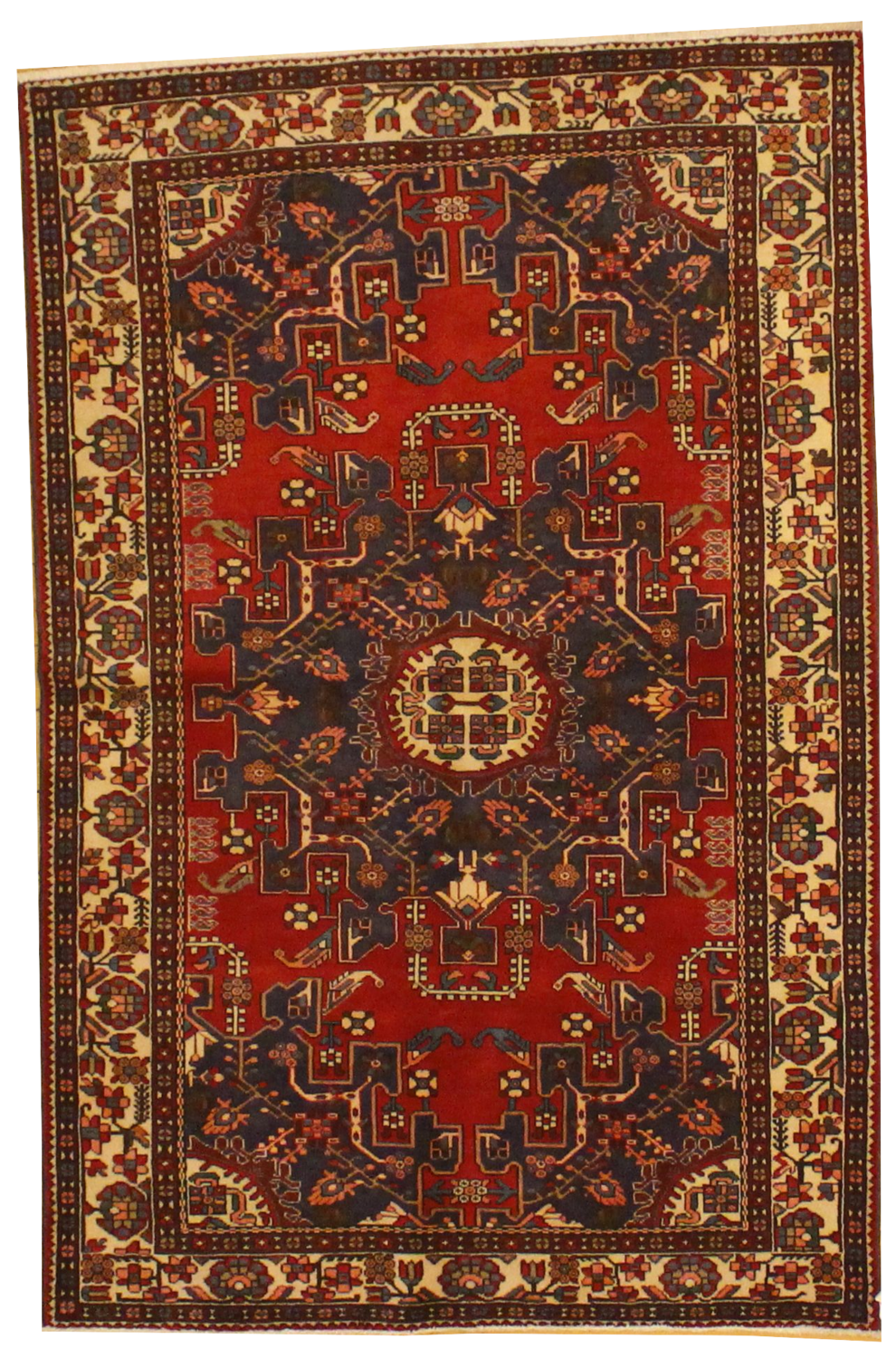 Baktiari - 4.5 x 6.8