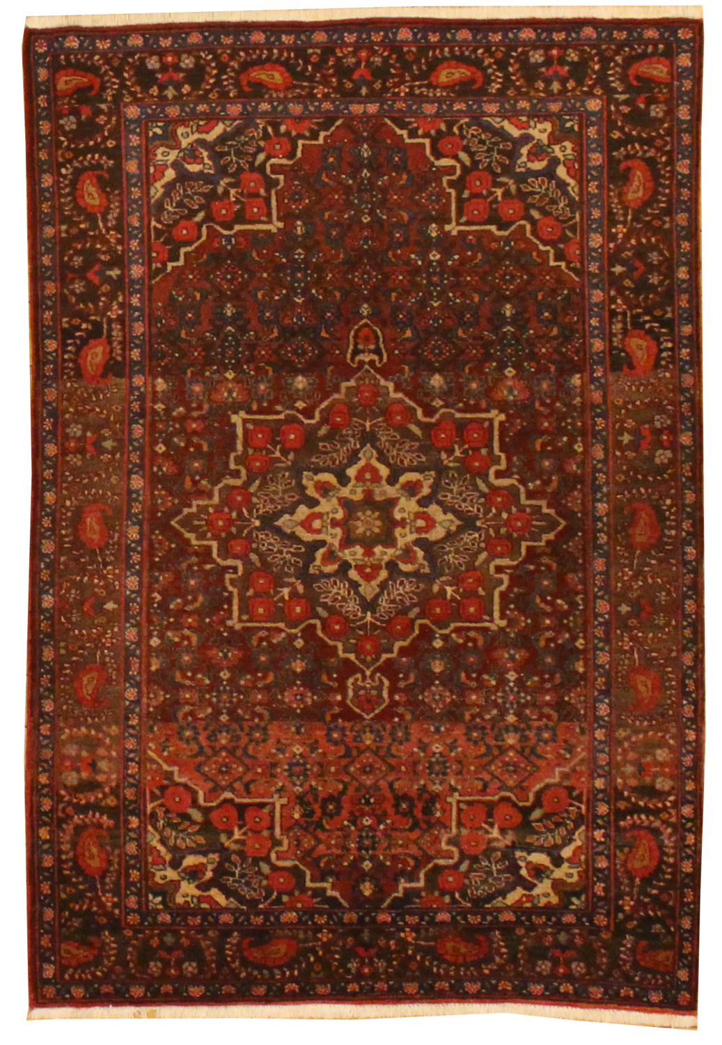 Bidjar - 4.2 x 6.6