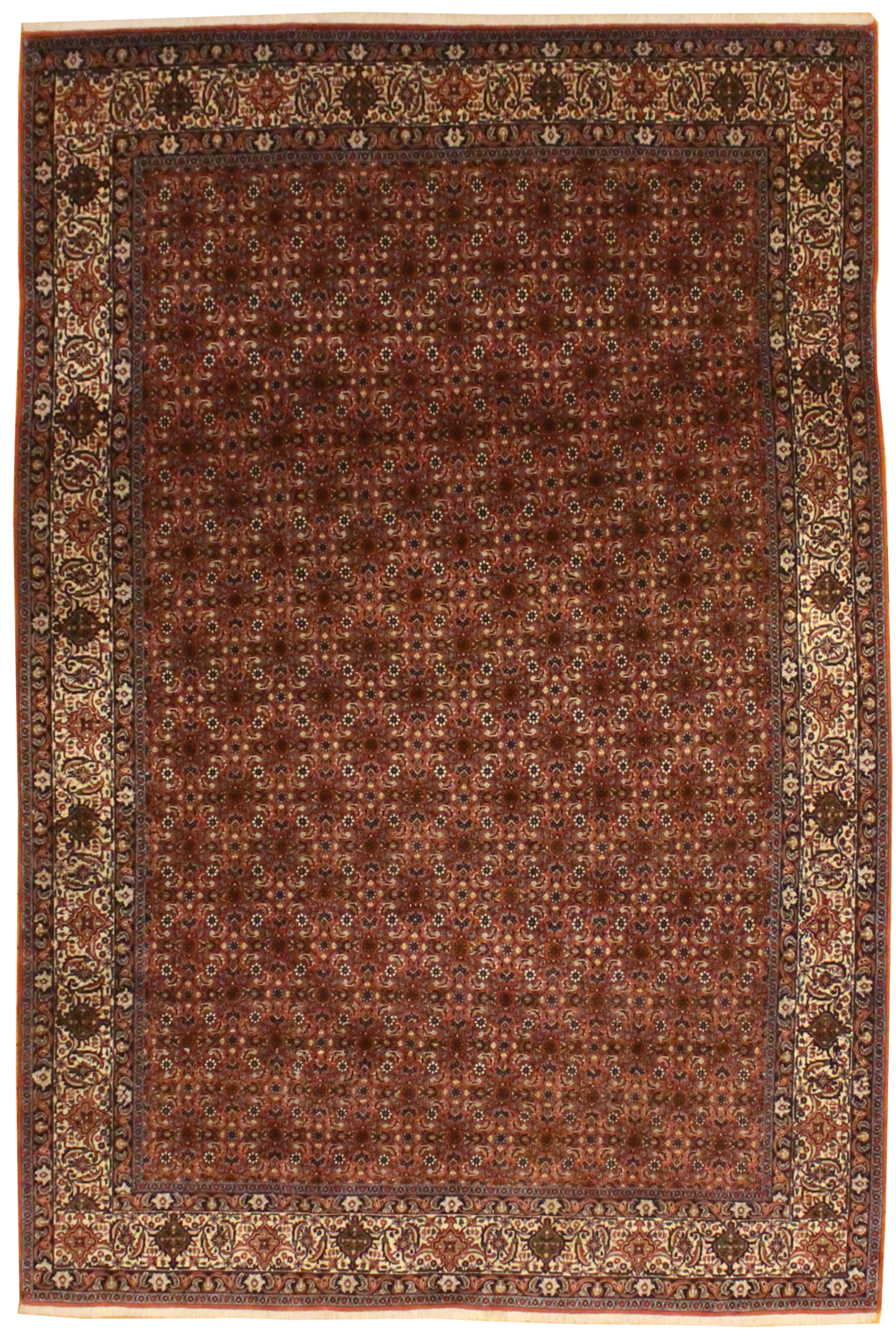 Persian Bidjar - 6.9 x 10.0
