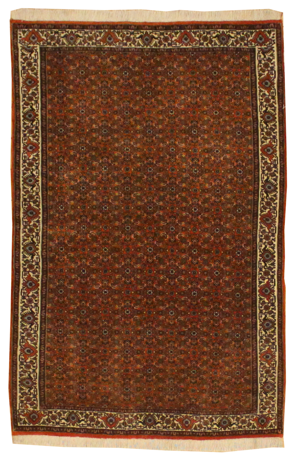 Persian Bidjar - 3.9 x 5.8