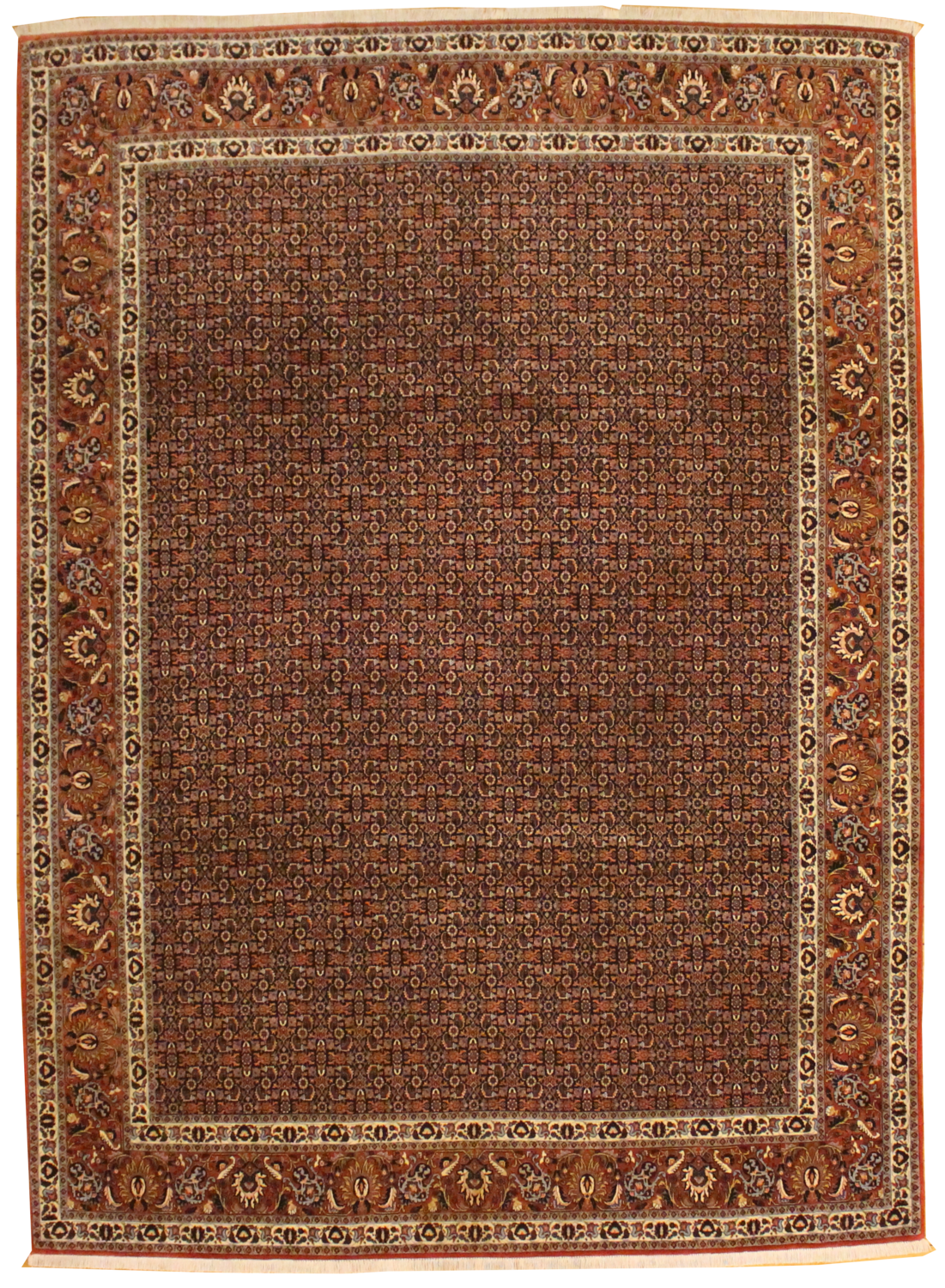 Persian Bidjar - 8.3 x 11.1