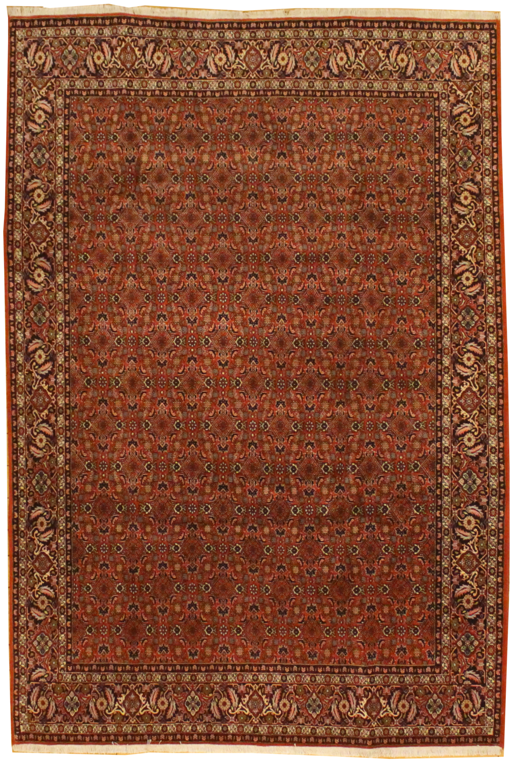 Persian Bidjar - 6.7 x 9.7