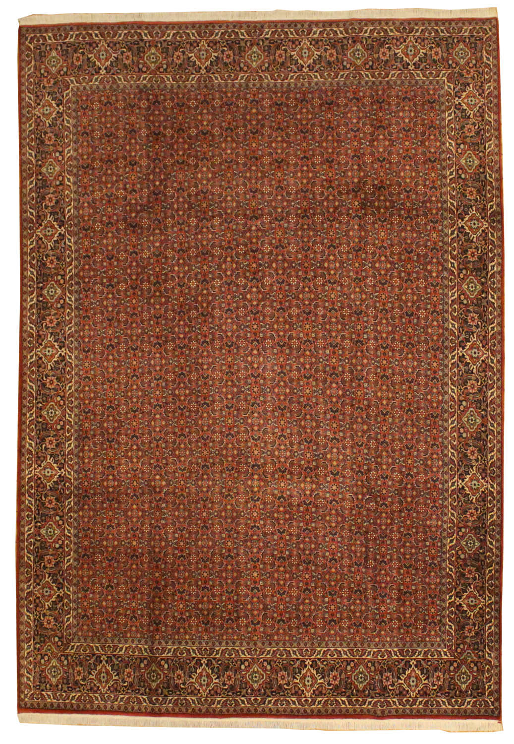 Persian Bidjar - 6.6 x 9.6