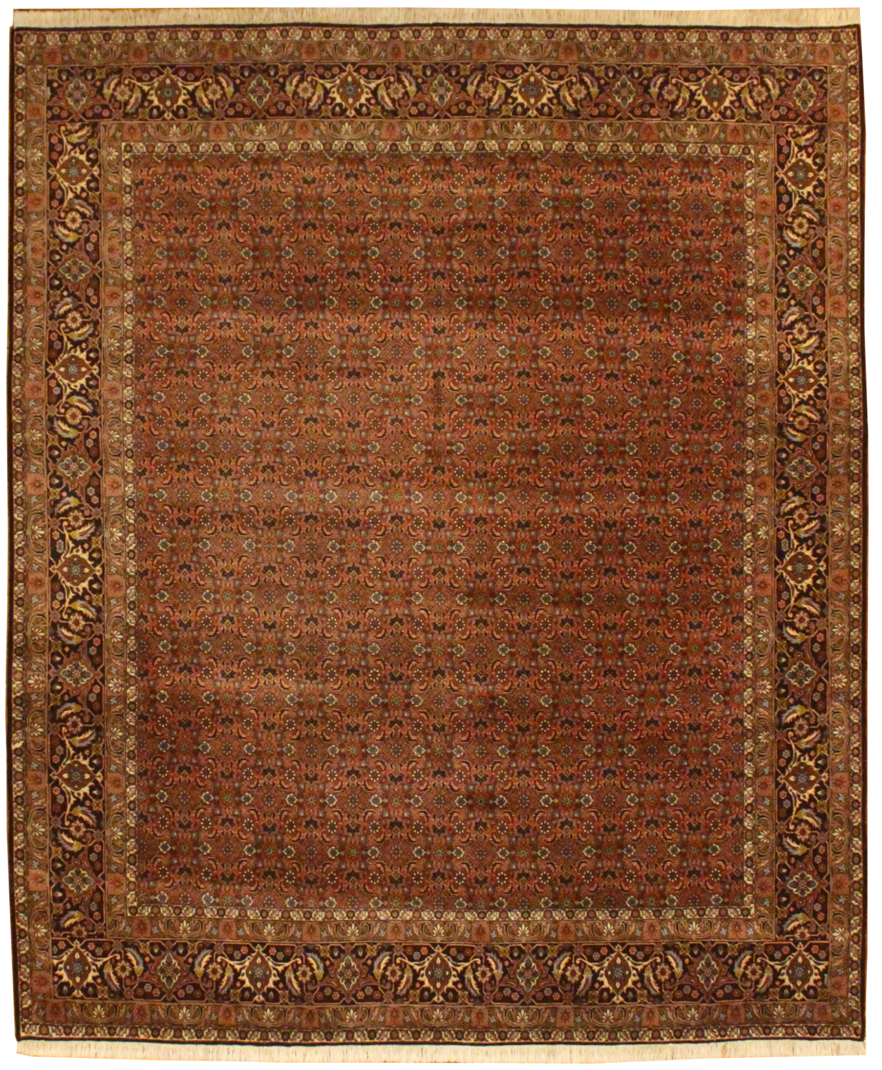 Zenjan Bidjar - 8.2 x 9.10