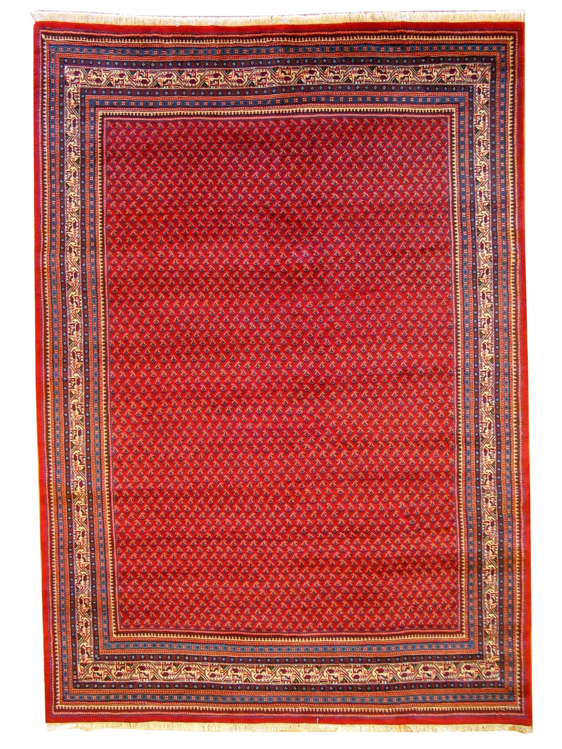 Sereband - 7.2 x 10.2