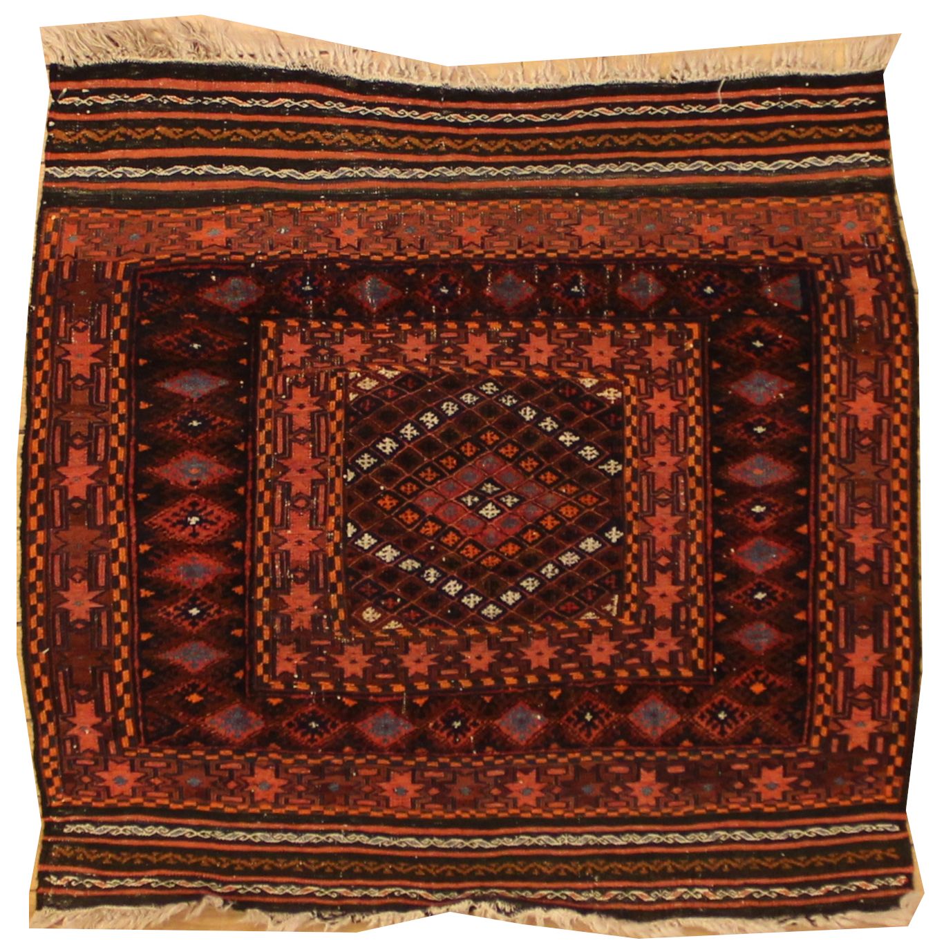 Moshwani - 3.9 x 4.0