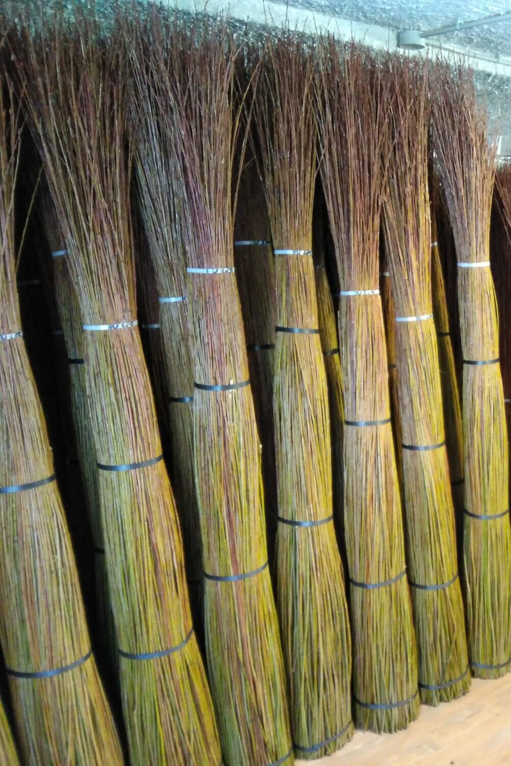 Salici taglio nuovo, verde olivo, cm 160, kg 10 Salici taglio nuovo, verde olivo, cm 160, kg 10