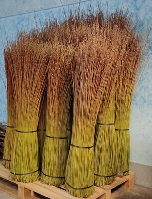 Verde chiaro, solo per intrecci.
