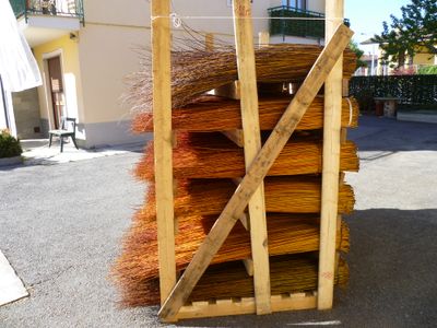 Articolo di esempio semi secchi Articolo di esempio semi secchi