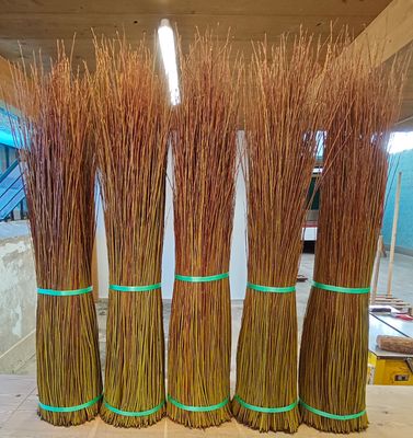 Salici taglio nuovo, verdi con punte rosse, cm 60/100, kg 5 Salici taglio nuovo, verdi con punte rosse, cm 60/100, kg 5