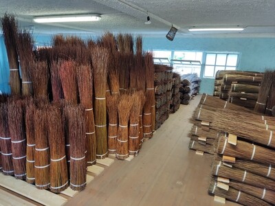 Salici secchi con corteccia