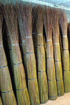 Verde olivo. Solo per intrecci.