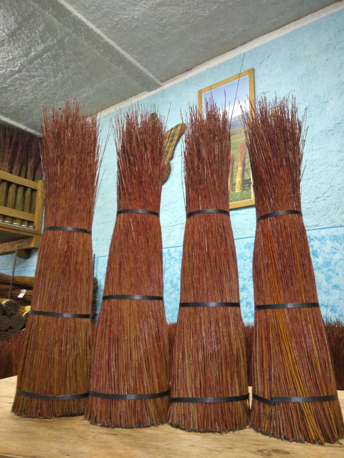 Salici taglio nuovo, rosso mosto, cm 80, kg 5 all'origine (fino al -50% per disidratazione)