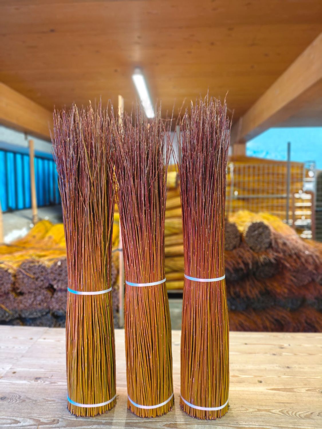 Salici taglio nuovo, verdi con punte rosse, cm 100, kg 5