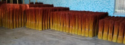 Salici taglio nuovo, verdi con punte rosse, cm 180, kg 12,5 all'origine (fino al -50% per disidratazione)