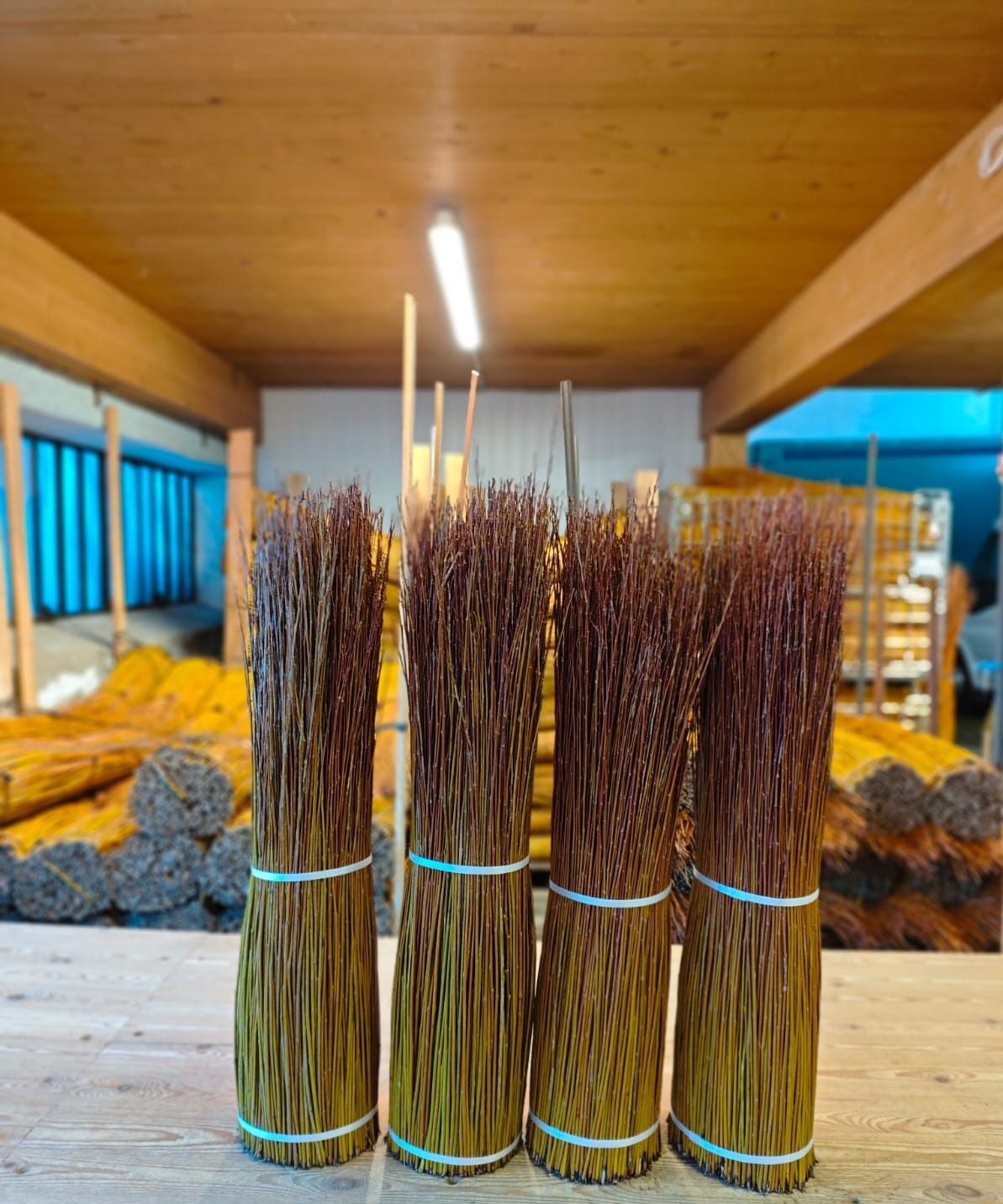 Salici taglio nuovo, verdi con punte rosse, cm 80, kg 5