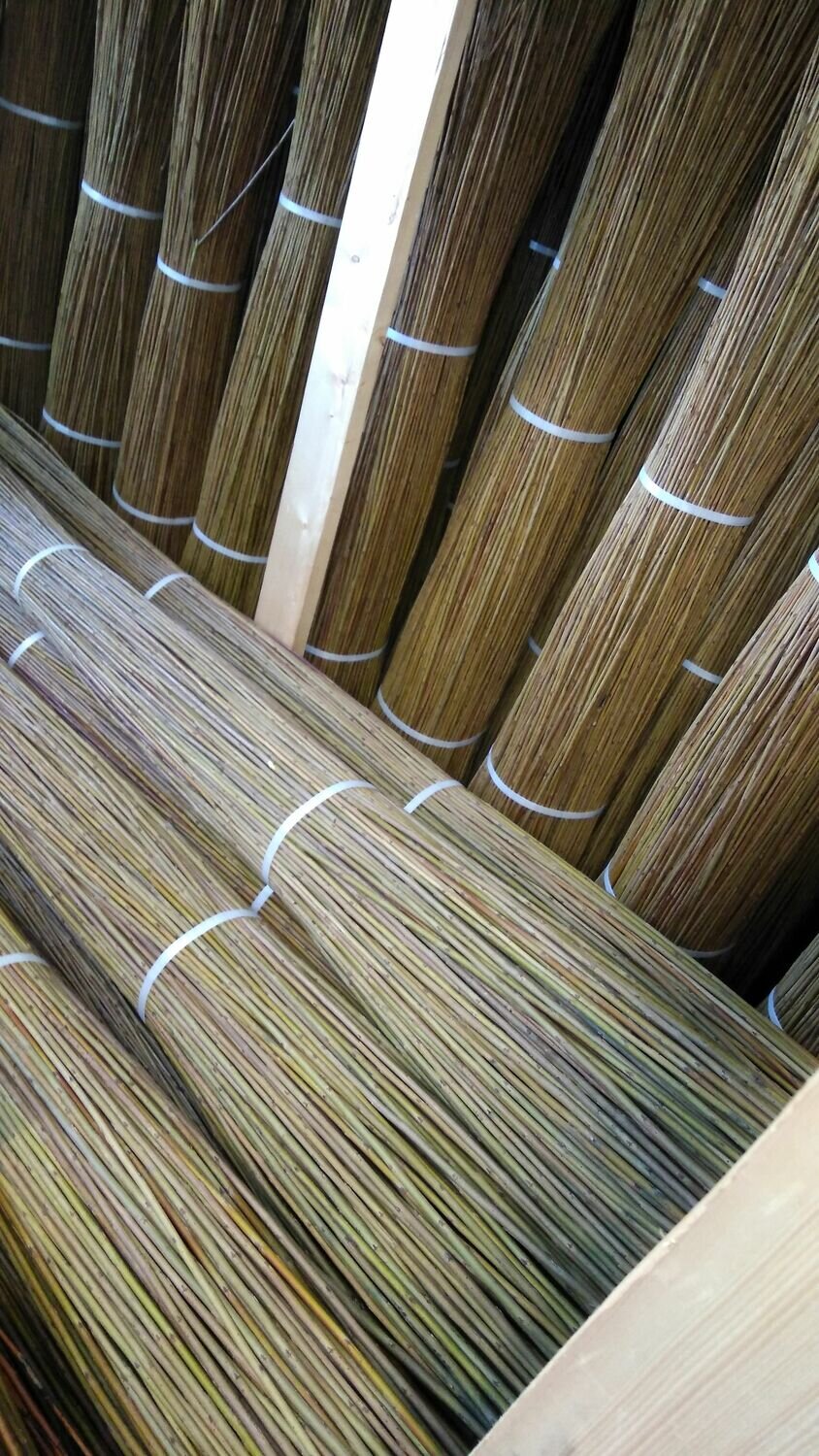 Verde olivo, salici/corteccia  cm 240, kg 2,5