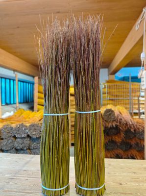 Salici taglio nuovo, verdi con punte rosse, cm 120, kg 10