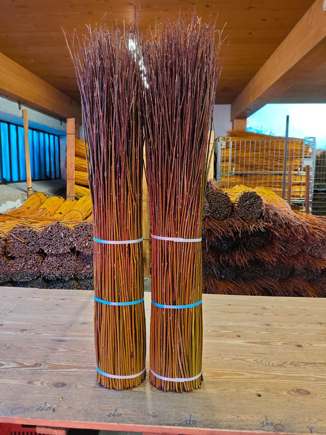 Salici taglio nuovo, verdi con punte rosse, cm 100, kg 5