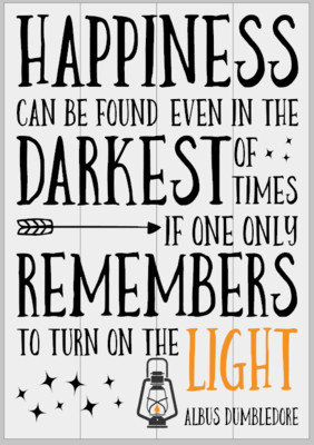 Happiness can be Found Even in the Darkest Times