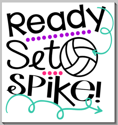 Ready Set Spike Volleyball