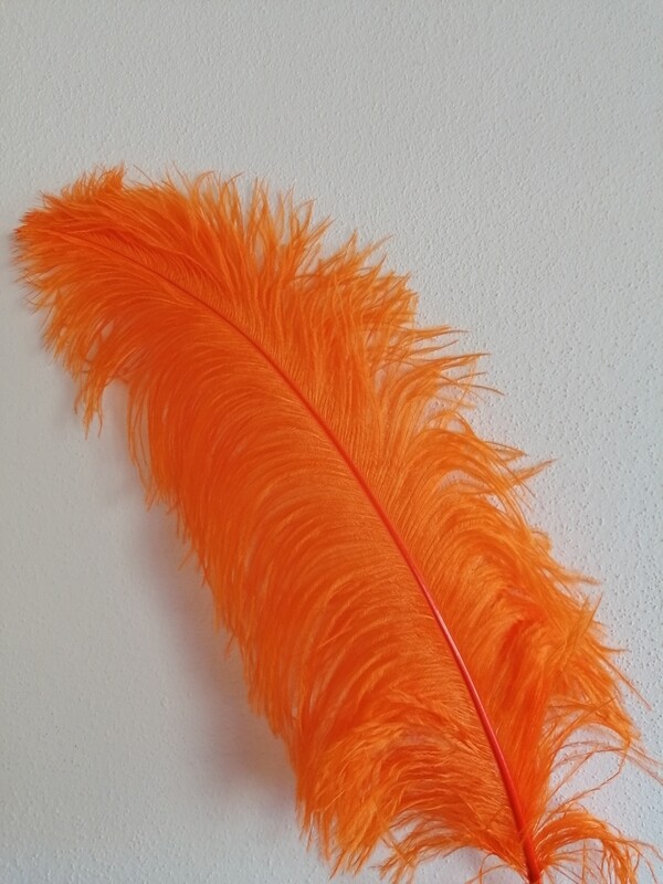 Feder orange