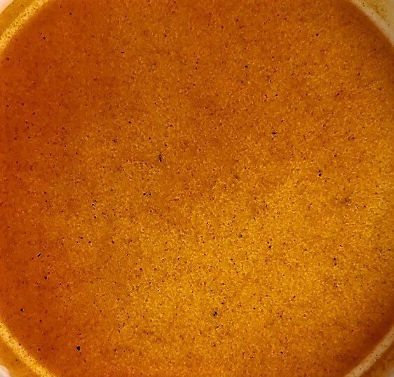 Artemia Nauplia Micro