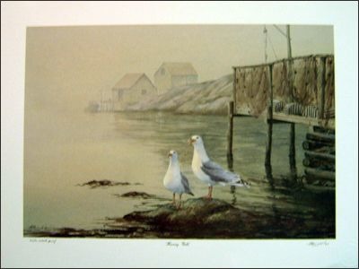 Herring Gulls Herring Gulls