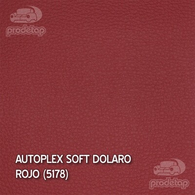 Vinil Autoplex