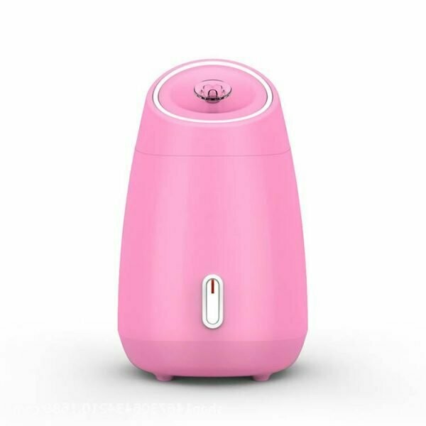 Facial Steamer