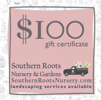 $100 Gift Certificate