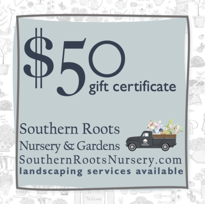 $50 Gift Certificate