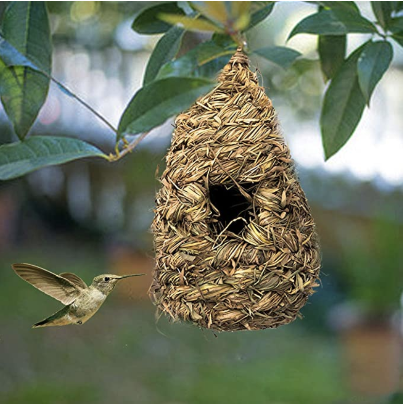 Hummingbird Nest