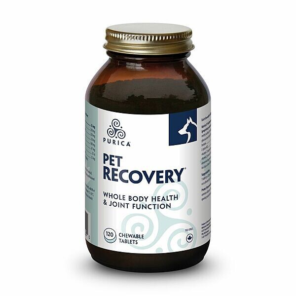 PURICA RECOVERY CHEWABLE 120 TAB