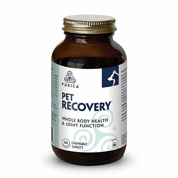 PURICA RECOVERY CHEWABLE TABLETS 60ct