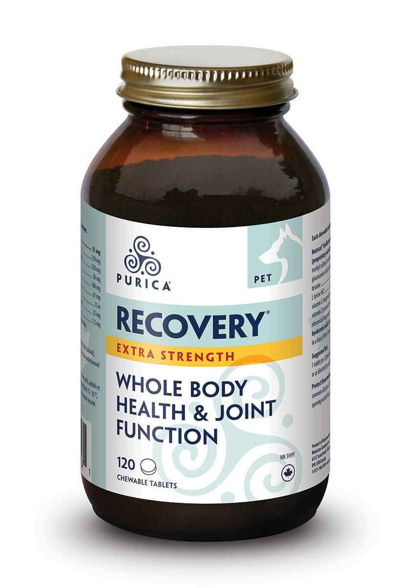 PURICA RECOVERY EXTRA STRENGTH CHEWABLE 120 TAB