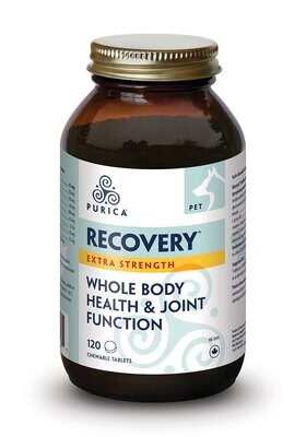 PURICA RECOVERY EXTRA STRENGTH CHEWABLE 120 TAB
